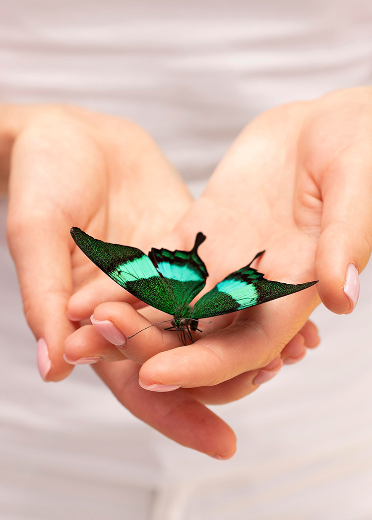 Discover the power of hands-on healing